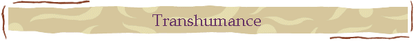 Transhumance