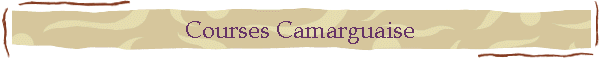 Courses Camarguaise
