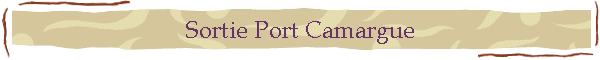 Sortie Port Camargue