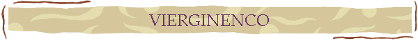 VIERGINENCO